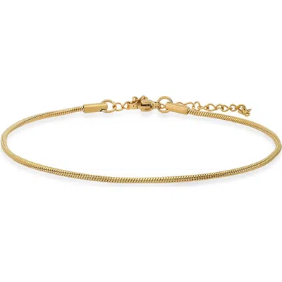 Steeltime 18k Gold Plated Stainless Steel Chain Anklet In Transparent