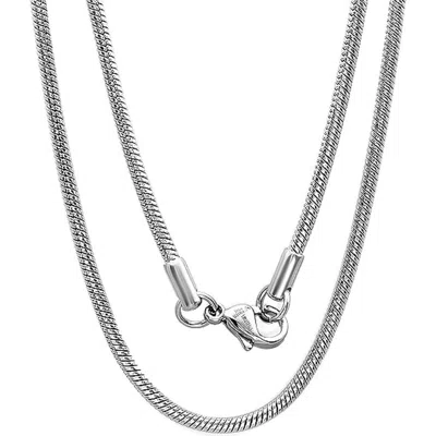 Steeltime Snake Chain Necklace In Silver