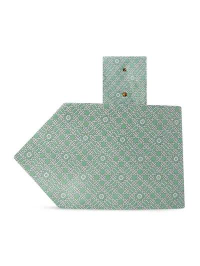 Stefano Ricci Men's Handmade Luxury Silk Tie In Light Green