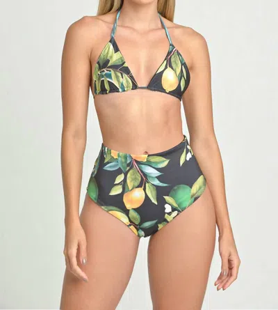Steffany Milano Citrus Bliss High-waisted Bikini Set In Multi In Green