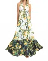 Steffany Milano Citrus Blossom Maxi Dress In Multi In Multi