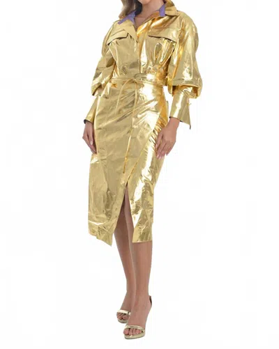 Steffany Milano Golden Glam Trench Coat Dress