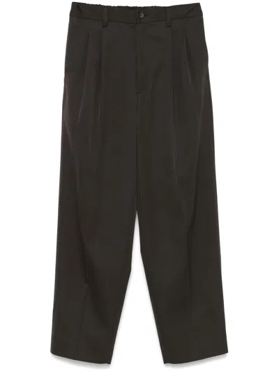 Stein Pleated Trousers In Brown