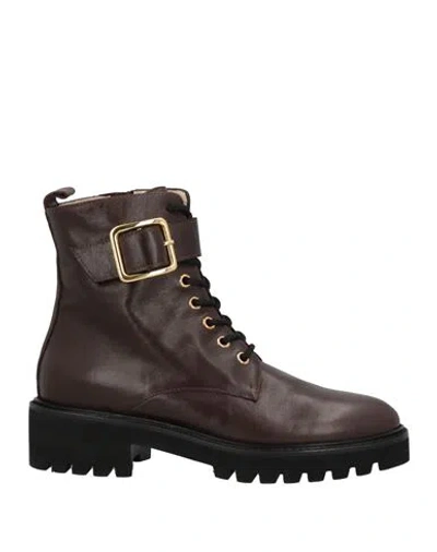 Stele Woman Ankle Boots Dark Brown Size 11 Calfskin