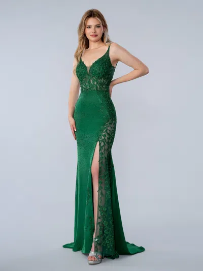 Stella Couture 26178 Slit Long Formal Lace Prom Dress In Green