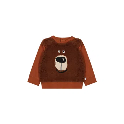 Stella Mccartney Babies' Teddy Sweatshirt In Brown