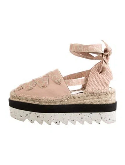 Pre-owned Stella Mccartney Canvas Graphic Print Espadrilles In Pink