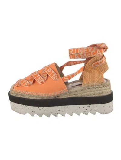 Pre-owned Stella Mccartney Canvas Printed Espadrilles In Pink