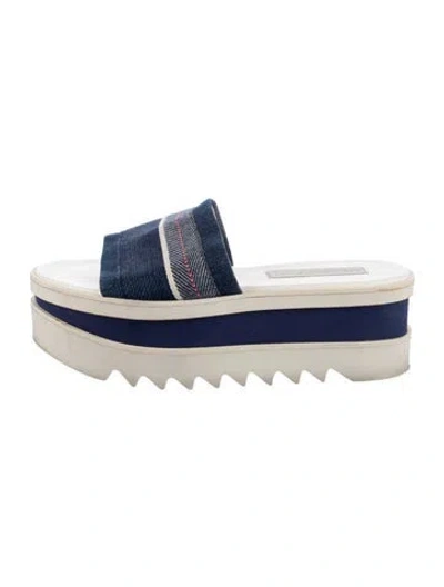 Pre-owned Stella Mccartney Canvas Printed Slides In Blue