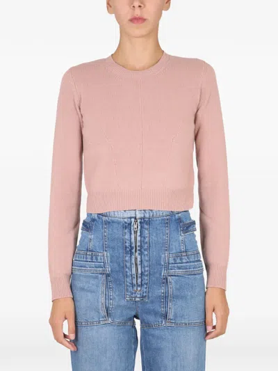 Stella Mccartney Stella Mc Cartney Wool Jersey. In Neutral