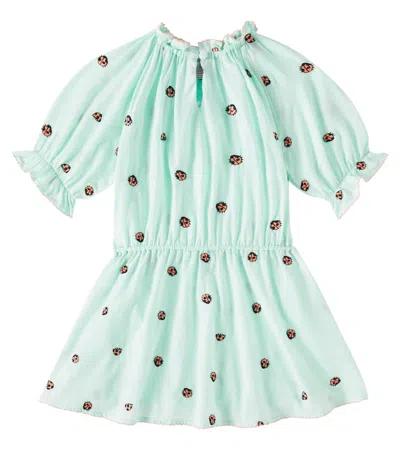 Stella Mccartney Kids' Embroidered Cotton Dress In Verdino/embroidery