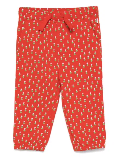 Stella Mccartney Babies' Floral-print Track Pants In Red