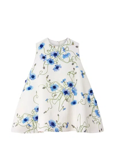Stella Mccartney Womens Cornflower-embroidered Floral-print Cotton A-line Mini Dress In Multi