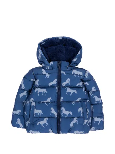 Stella Mccartney Babies' Horse-print Padded Jacket In Blue