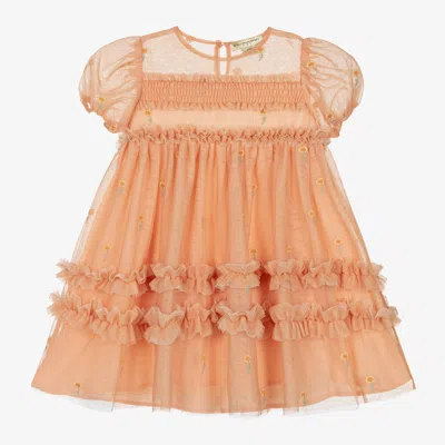 Stella Mccartney Kids Girls Orange Embroidered Tulle Dress