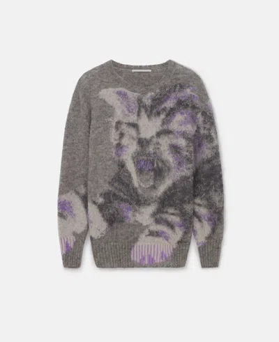 Stella Mccartney Kitten Graphic Knit Sweater In Gray, White And Purple