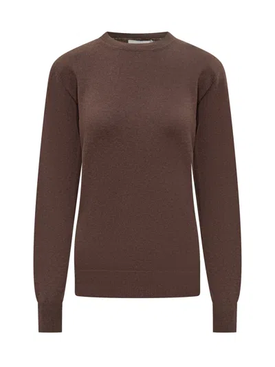 Stella Mccartney Knit Sweater With Giro Neck In Brown