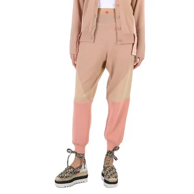 Stella Mccartney Ladies Colorblock Tonal Mix Panelled Wool Track Pants