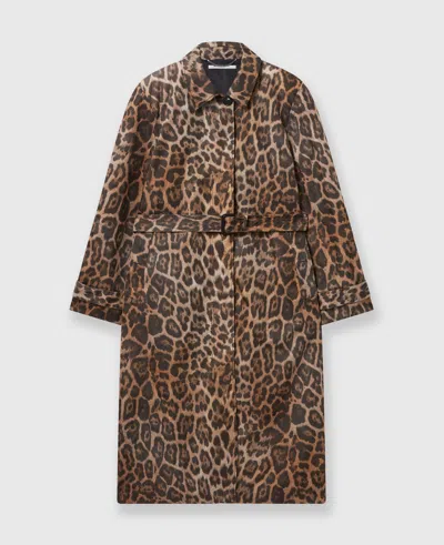 Stella Mccartney Leopard Belted Trench Coat In Multicolor Brown