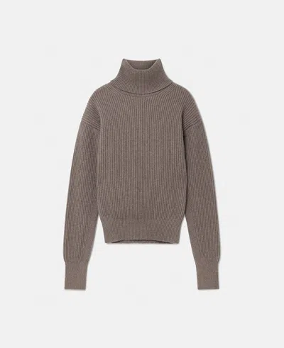 Stella Mccartney Long-sleeve Turtleneck Jumper In Taupe Brown