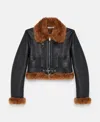 Stella Mccartney Plush Teddy Cropped Biker Jacket In Midnight Black