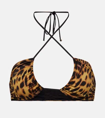 Stella Mccartney Printed Halterneck Bikini Top In Brown,multi