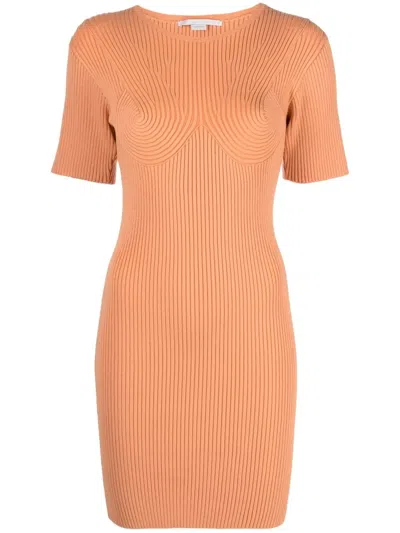 Stella Mccartney Rib-detail Bodycon Dress In Orange
