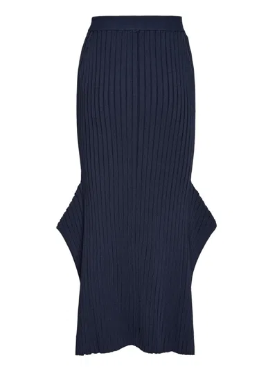 Stella Mccartney Rib Knit Long Skirt In Blue