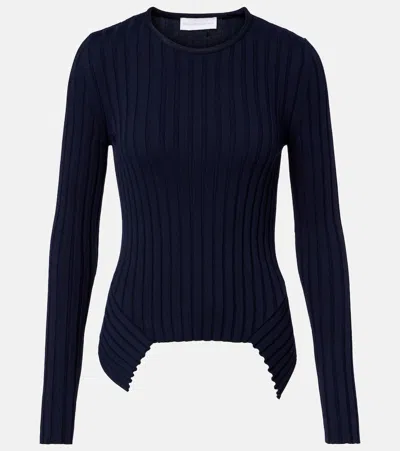 Stella Mccartney Ribbed-knit Cotton Sweater In Blue