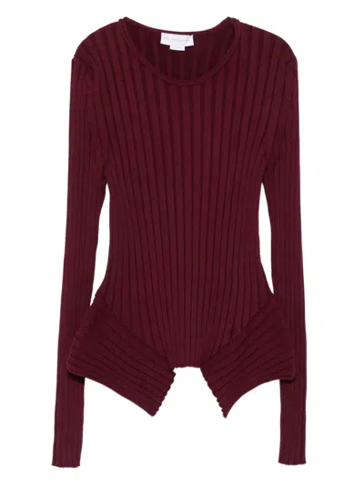 Stella Mccartney Ribbed Top In Brown