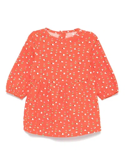 Stella Mccartney Babies' Sheep-printed Dress In Orange