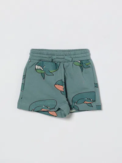 Stella Mccartney ショートパンツ  Kids ボーイ カラー スカイブルー In Green