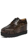 Stella Mccartney Chunky Heel Platform Sneakers With Snakeskin Effect In Brown