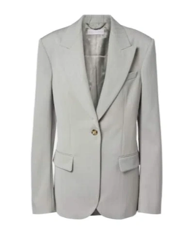 Stella Mccartney Striped Wool Blazer In Gray