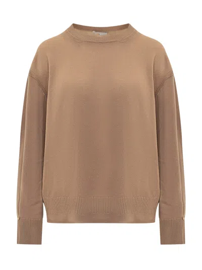 Stella Mccartney Stylish Virgin Wool Sweater In Brown