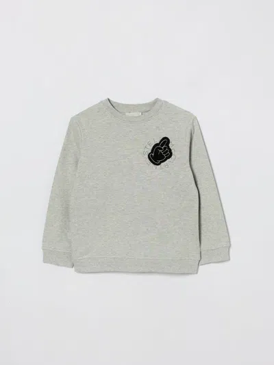 Stella Mccartney Sweater  Kids Kids Color Grey In Gray