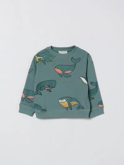 Stella Mccartney Sweater  Kids Kids Color Blue In Green