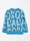 Stella Mccartney Sweater  Kids Kids Color Gnawed Blue In Gnawed Blue
