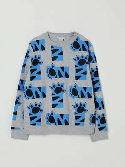 Stella Mccartney Sweater  Kids Kids Color Grey In Gray