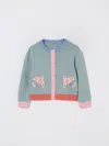 Stella Mccartney Babies' Sweater  Kids Kids Color Grey In Blue