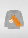 Stella Mccartney Sweater  Kids Kids Color Grey In Grau