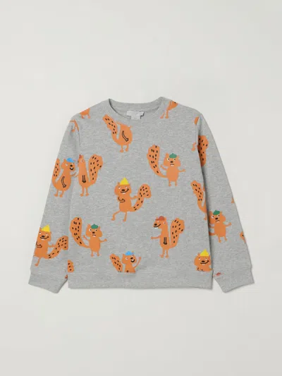 Stella Mccartney Sweater  Kids Kids Color Grey In Gray