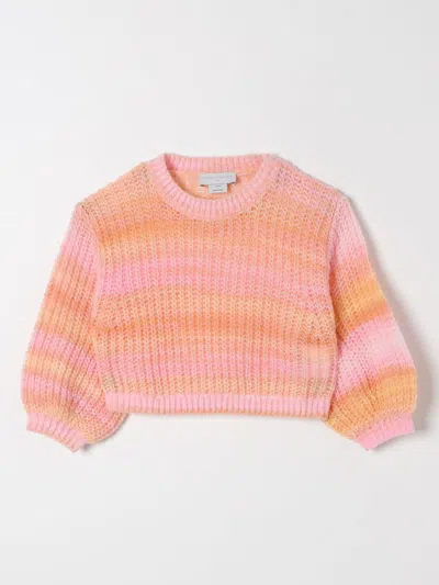 Stella Mccartney Striped Knit Sweater In Bunt