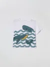 Stella Mccartney Printed Cotton T-shirt In Multi