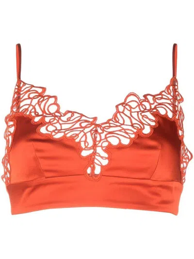 Stella Mccartney Triangle Lace Bra