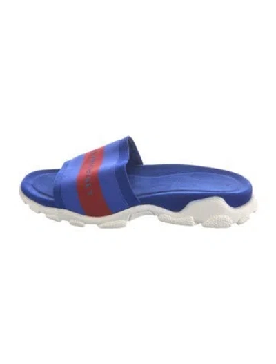 Pre-owned Stella Mccartney Vegetarian Suede Printed Slides In Blue