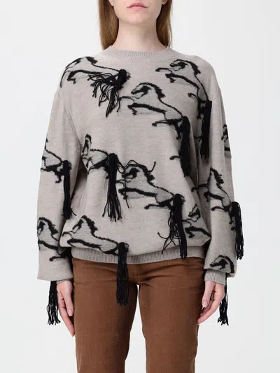 Stella Mccartney Virgin Wool Crewneck Jumper With Fringes And Embroidery In Gray