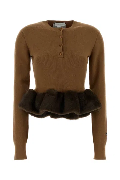 Stella Mccartney Wool Crewneck Sweater With Contrasting Trim In Brown