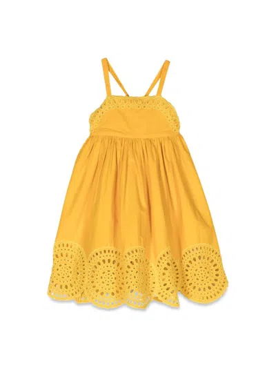 Stella Mccartney Kids' Woven Dress In Yellow