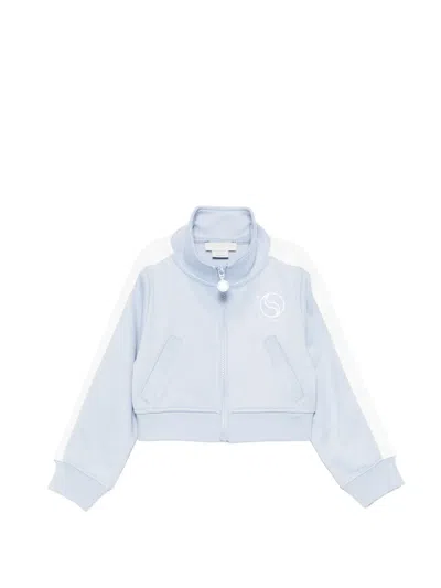 Stella Mccartney Zipped Striped Sweater In Blue